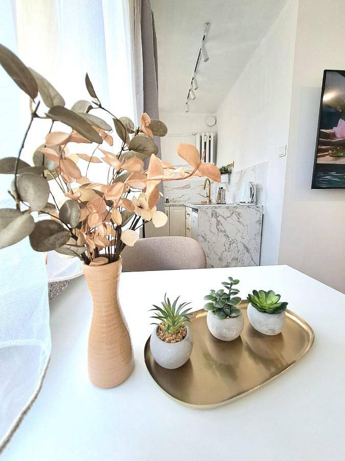 Apartament wakacyjny dla 2 osób, z widok, zwierzęta dozwolone w Racibórz