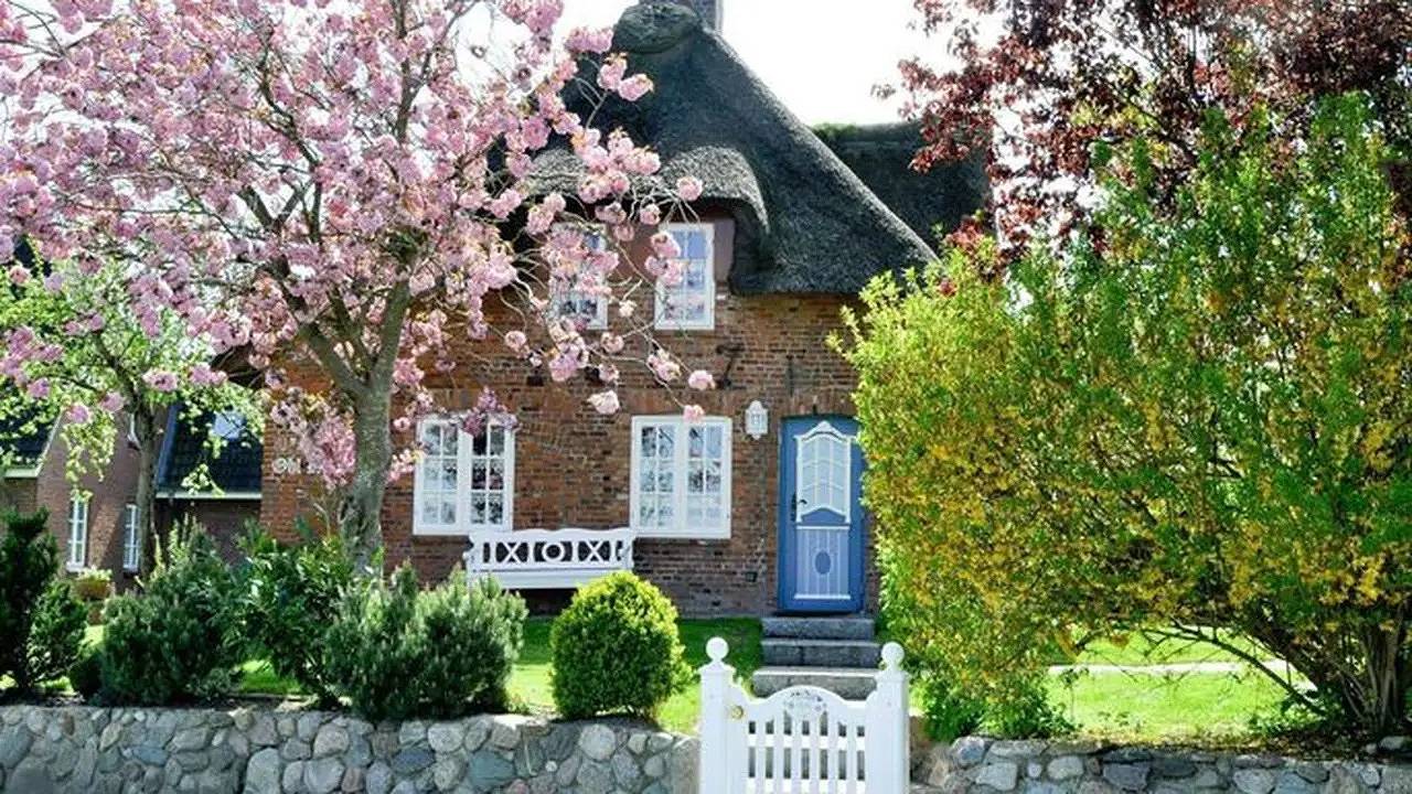 Ferienhaus für 4 Personen (94 m²) in Wyk auf Föhr (Stadt), Wyk auf Föhr