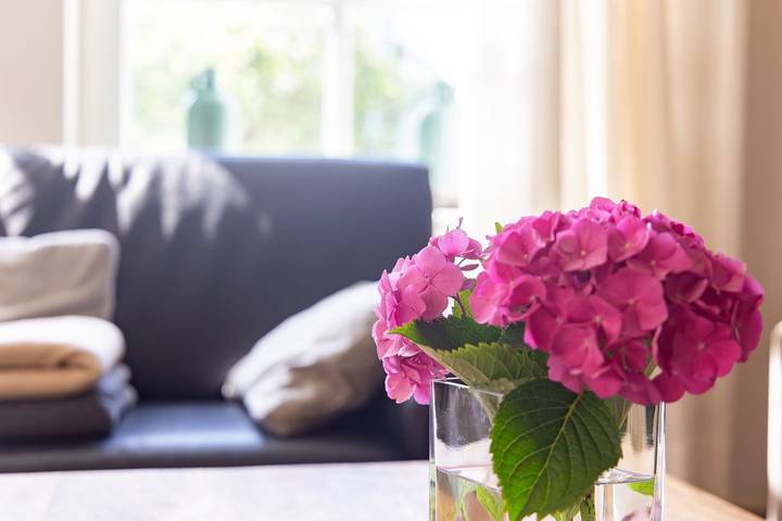 Strandhaus für 4 Personen, mit Garten, mit Haustier in Ahrenshoop - 4