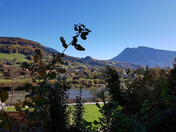 Ferienwohnung für 4 Personen, mit Balkon und Garten sowie Ausblick, kinderfreundlich in Bad Goisern am Hallstättersee - 3