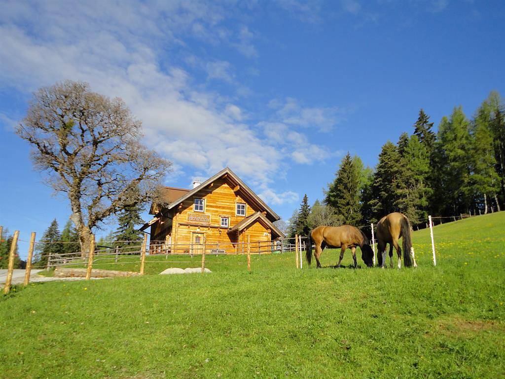 Ganze Ferienwohnung, Ferienhaus/4 od. mehr Schlafr./Dusche,Wc in Michaelerberg-Pruggern, Schladming-Dachstein