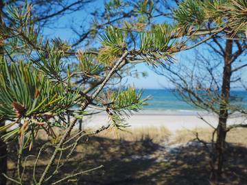 Dom dla 6 osoby w Morze Bałtyckie, Polskie Wybrzeże Bałtyku, Zdjęcie 3