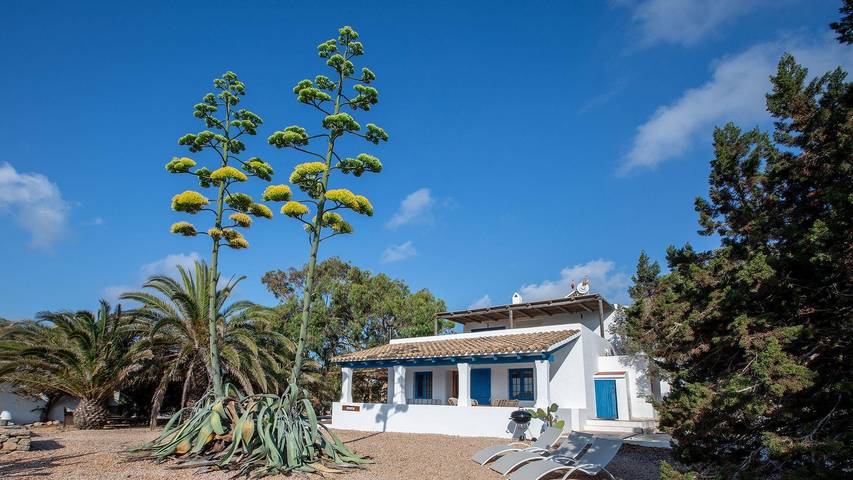 Finca für 4 Personen, mit Terrasse und Garten auf Formentera - 2