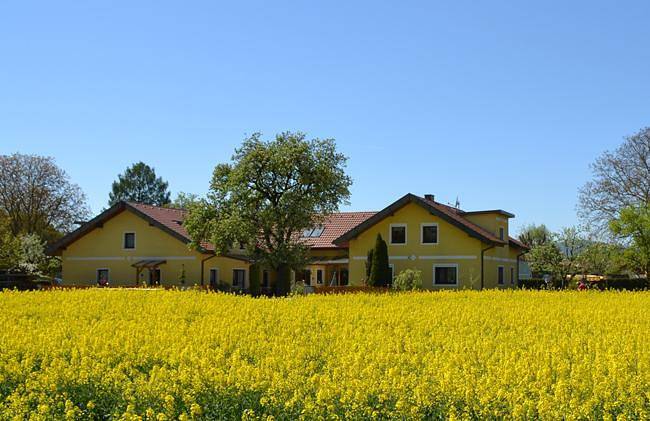 Ferienwohnung für 4 Personen, mit Terrasse und Garten - 1