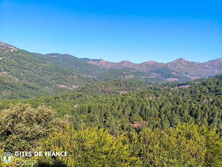 Chambre d’hôte pour 2 personnes, avec Jardin à Aullène