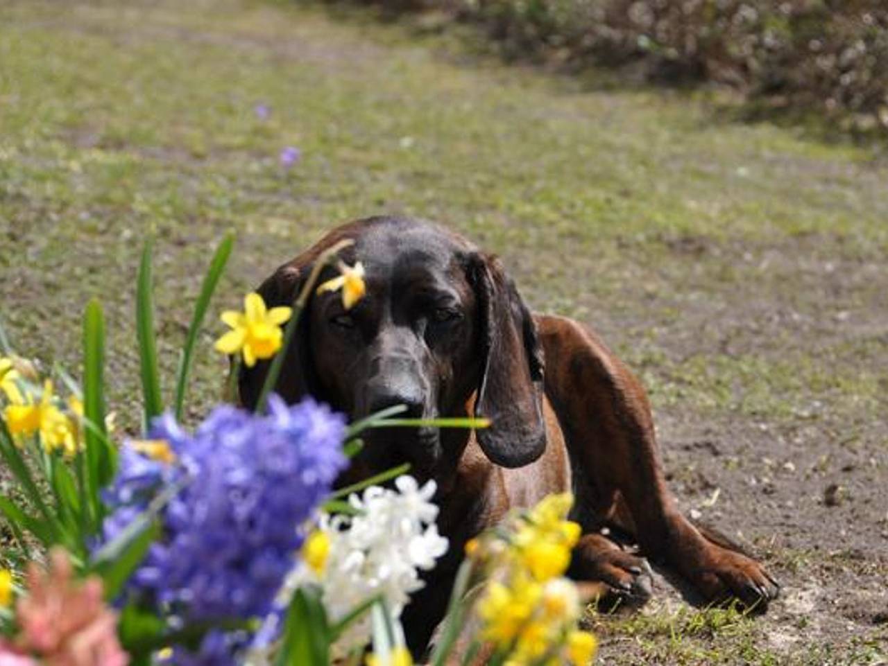 Ferienhof Mitterwinkler - "Pyhrgasblick"-Zimmer in Spital am Pyhrn, Kirchdorf an der Krems (Bezirk)