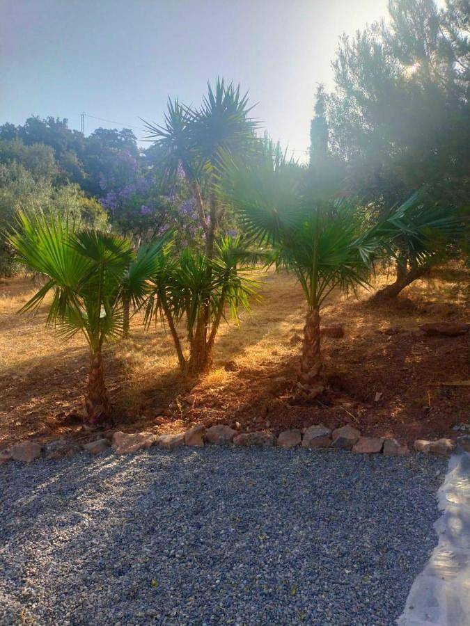 Casa rural para 2 personas, con jardín y piscina además de sauna y jacuzzi en Riogordo - 3