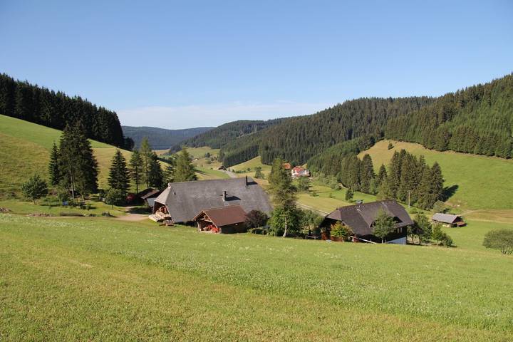 Ganze Ferienwohnung, Balzenhof - Größe: 45 qm in Furtwangen, Mittlerer Schwarzwald