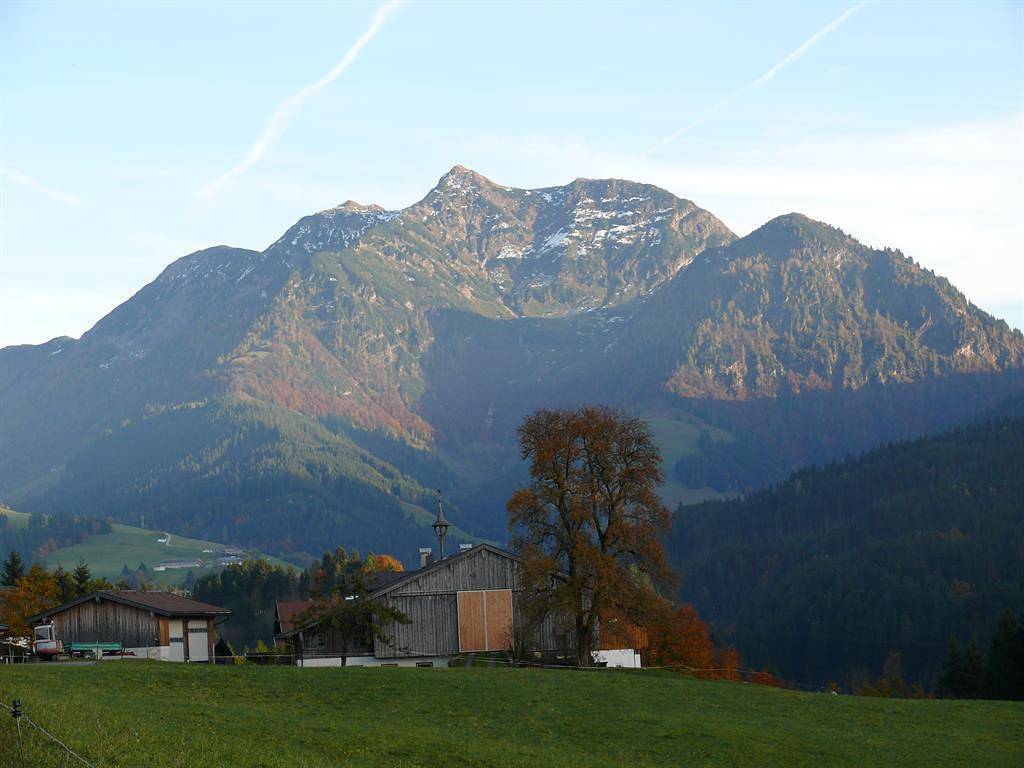 Ganze Ferienwohnung, Appartement/Fewo in Loferer und Leoganger Steinberge, Fieberbrunn