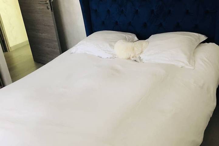 Villa pour 6 personnes, avec terrasse et jardin à Avignon - 2