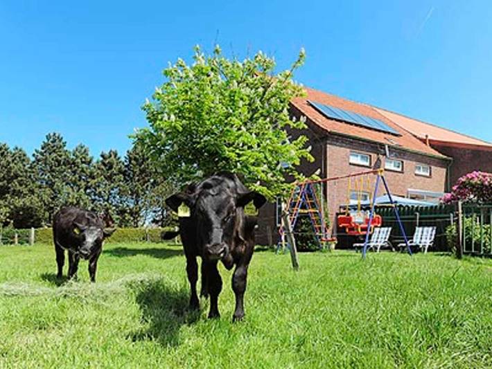 Ferienwohnung für 5 Personen, mit Terrasse und Garten in Westerholt