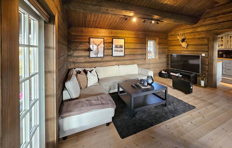 Ferienhaus für 8 Personen mit Terrasse in Nissedal