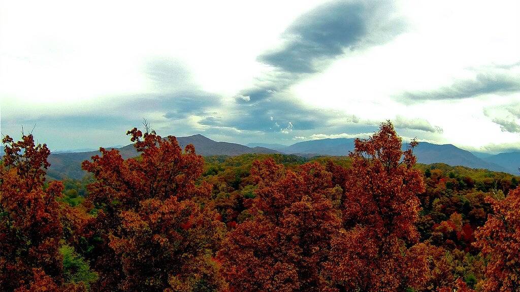 Mtn. Aussicht & gemütlich! Keine sauberen Gebühren! in Sevier County