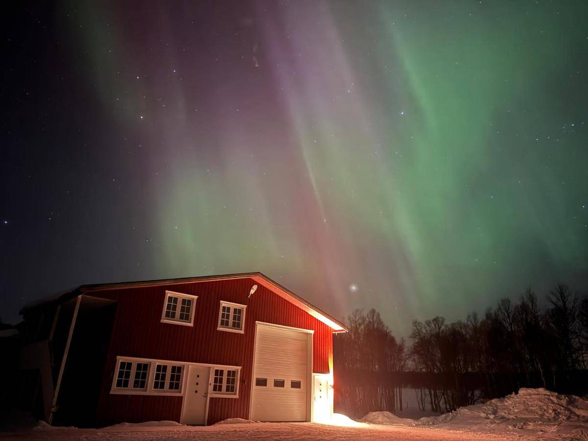 Ganze Wohnung, Leilighet Sølendet, i Brekken ved Røros in Røros