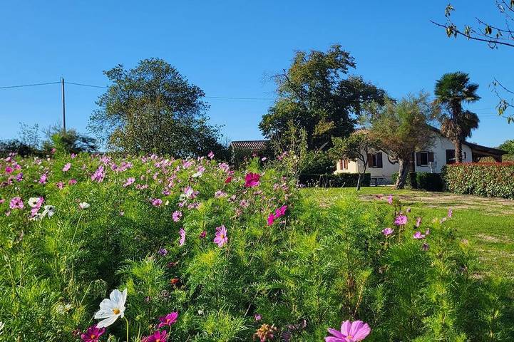 Location de vacances pour 15 personnes, avec terrasse et jardin à Castillon-Debats