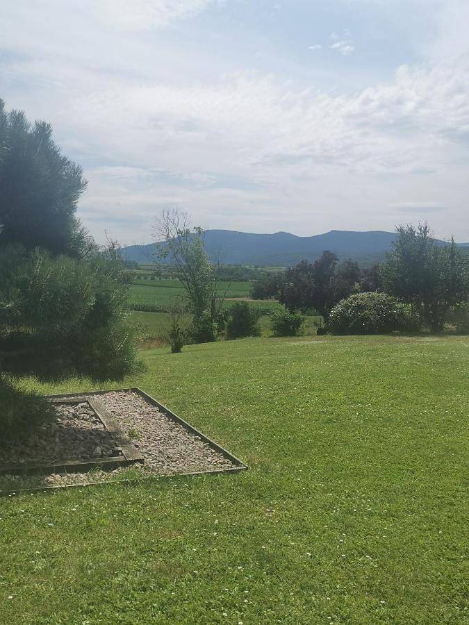 Gîte pour 3 personnes, avec terrasse et vue à Rosheim - 3