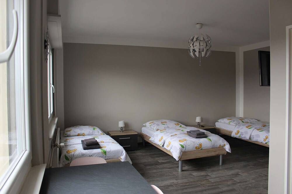 Entire apartment, Executive Studio near Basel in Saint-Louis, Mulhouse region