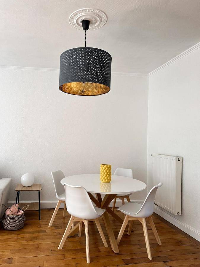 Gîte pour 3 personnes, avec terrasse, animaux acceptés à Saverne - 4