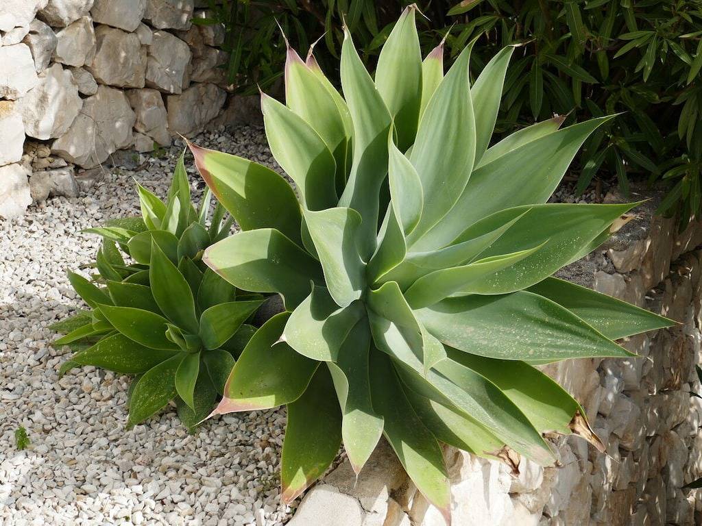 Apartamento vacacional en Calpe con piscina in Calpe, Costa Blanca