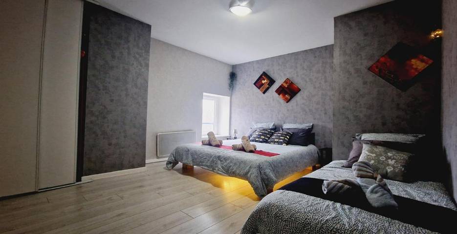 Gîte pour 8 personnes, avec vue et jardin, animaux acceptés à Fresse-sur-Moselle - 3