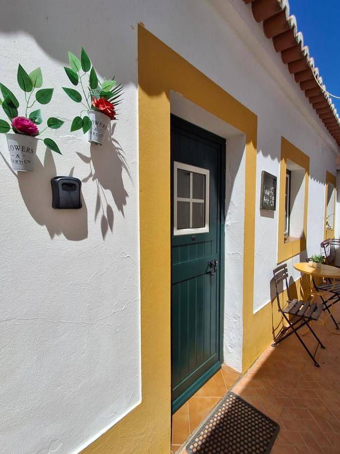 Casa da Aldeia in Mina de São Domingos, Corte do Pinto
