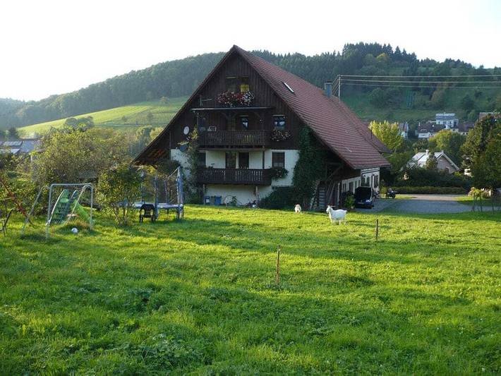 Ferienwohnung mit 1 Schlafzimmer in Steinach, Kinzigtal
