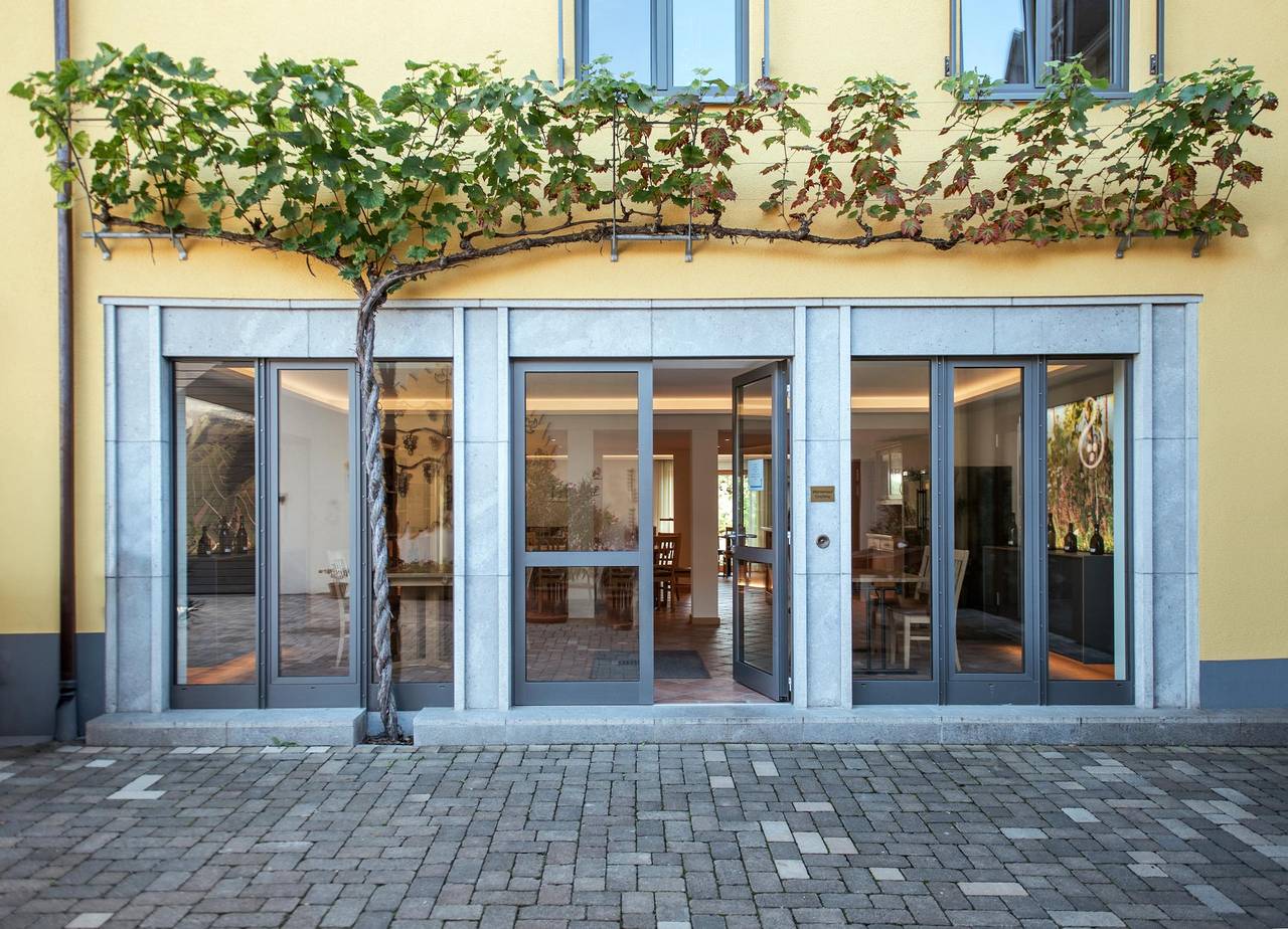 Pension Weingut Schwab - Einzelzimmer mit Wc und Dusche inkl. Frühstück in Thüngersheim, Fränkisches Weinland