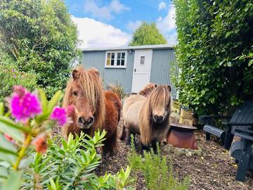 Camping für 2 Personen, mit Garten und Terrasse sowie Pool in Cornwall