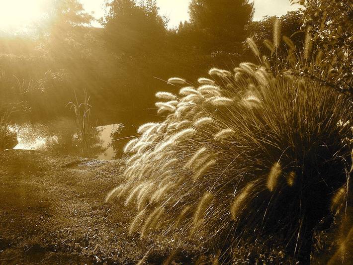 Location de vacances pour 2 personnes, avec jardin en Bourgogne - 2
