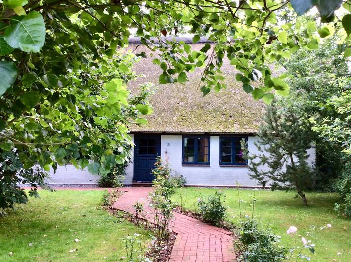 Ferienhaus für 6 Personen, mit Garten in Nordermeldorf - 3