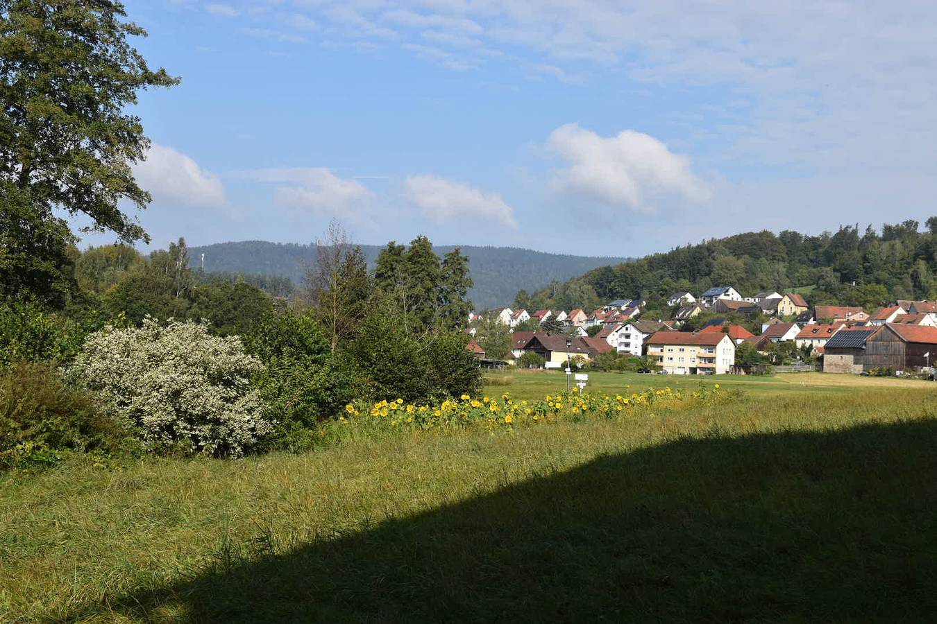 Gästehaus am Schlossberg - Ferienwohnung Mittel in Friedenfels, Ostbayern