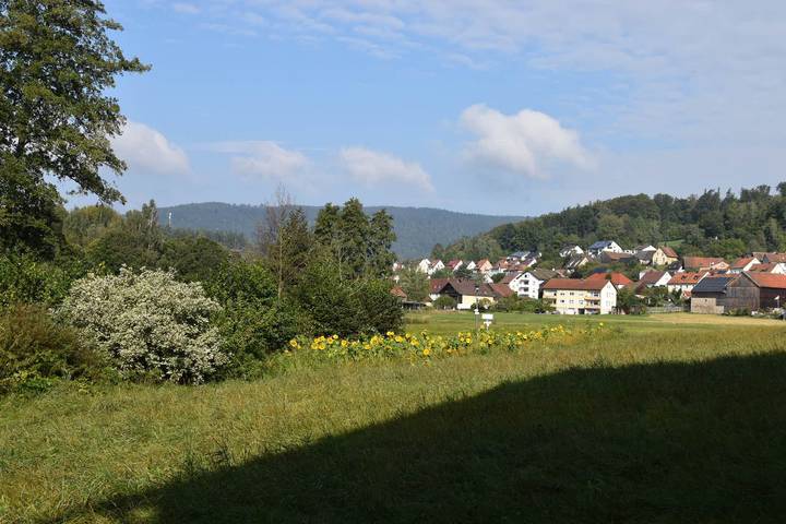 Gästehaus am Schlossberg - Ferienwohnung Groß in Friedenfels, Ostbayern