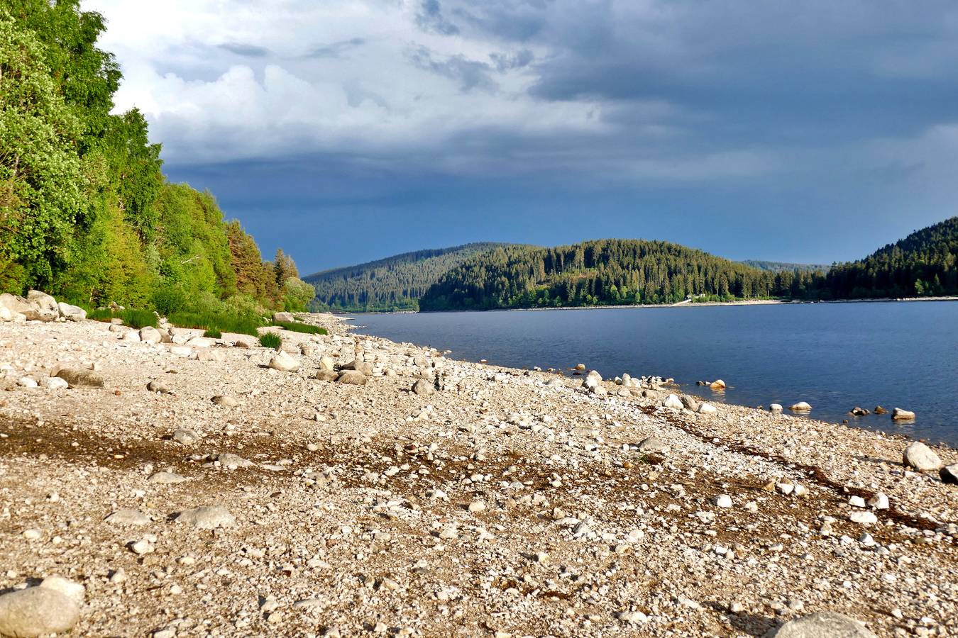 Ganze Ferienwohnung, Gästehaus Seewald- Ferienwohnung 7 "Eiche", Schluchsee, Blasiwald in Blasiwald (Schluchsee), Schluchsee
