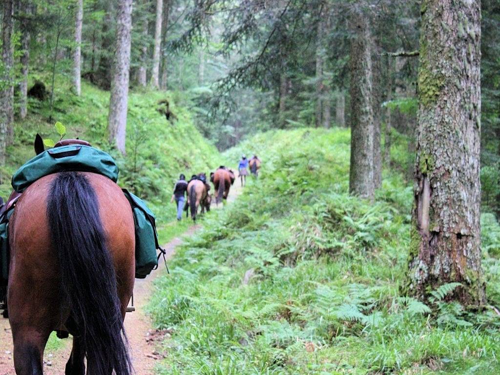 Oudin Équitation Les Grands Prés - Chambre 3 in Aubure, Parc naturel régional des Ballons des Vosges