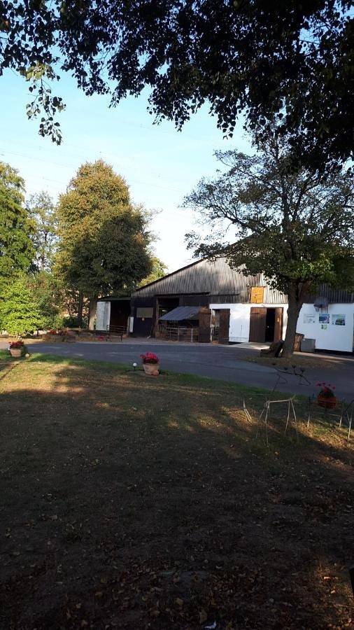 Ferienwohnung für 4 Personen, mit Garten und Ausblick in Hofgeismar - 3