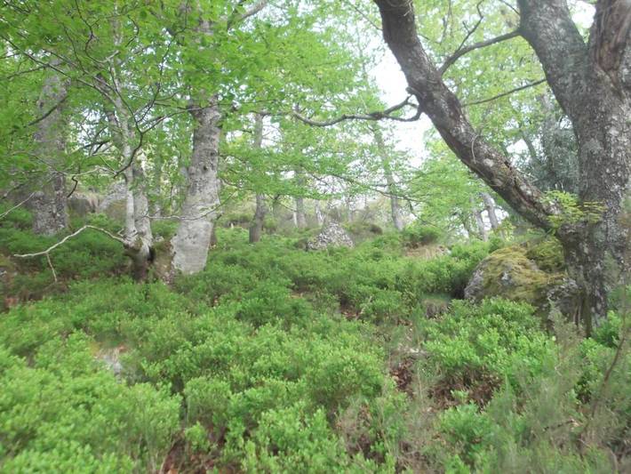 Casa rural para 4 personas, con vistas, Familias con niños en Valle del Nansa - 4