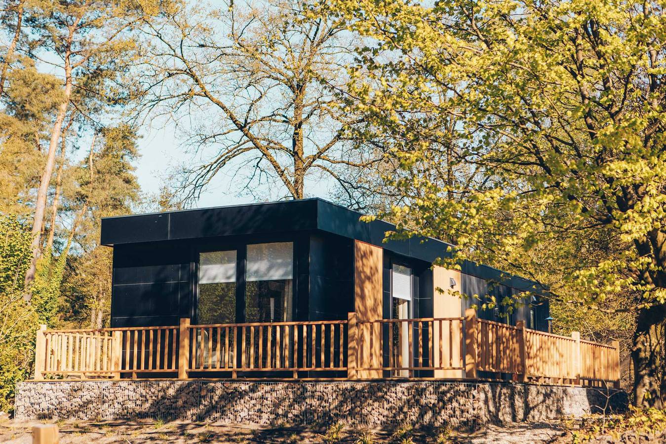 Veluwepark de Bosgraaf — Valkhof mit Whirlpool | 4 Personen in Veluwe