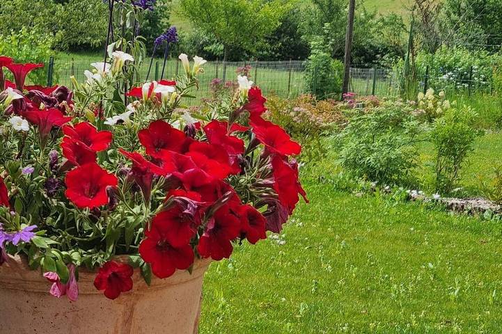 Gîte pour 2 personnes, avec jardin dans Ménessaire