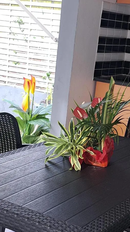 Casa de vacaciones para 4 personas, con jardín y piscina además de piscina para niños y vistas - 1