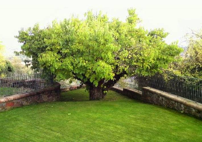 Casa rural para 44 personas, con vistas además de vistas al lago y jardín en La Rioja - 4