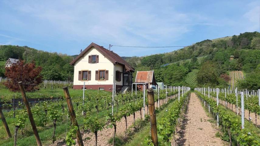 Location de vacances pour 2 personnes, avec jardin ainsi que vue et terrasse à Ribeauvillé - 2