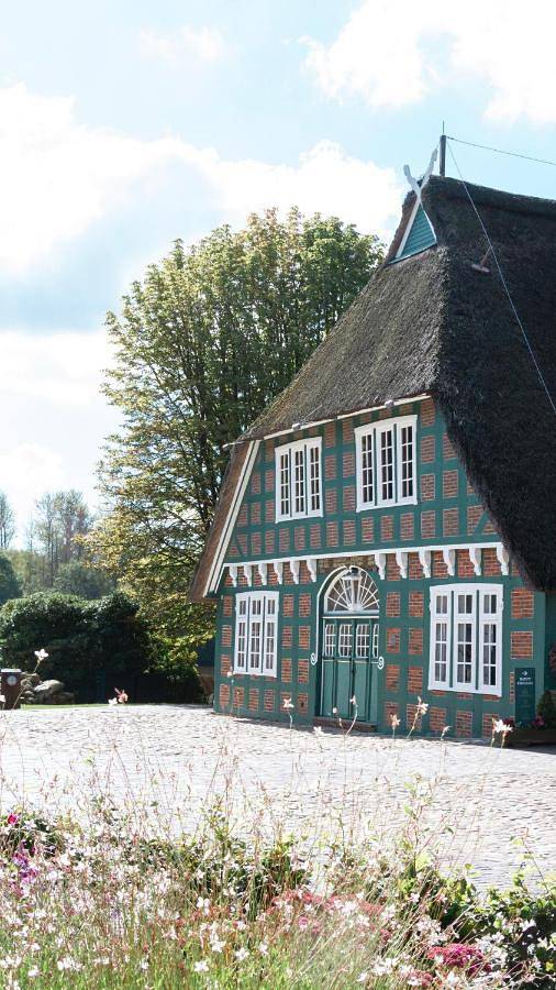 Ferienwohnung für 2 Personen, mit Balkon und Terrasse sowie Garten und Pool im Oldenburger Münsterland - 2