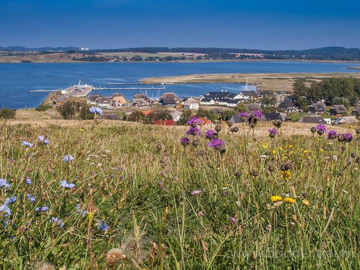 Ferienhaus für 6 Personen, mit Garten und Terrasse in Gager - 2