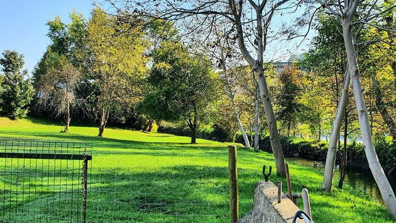 Ganze Ferienwohnung, Ferienwohnung für 4 Personen (71 m²) in Mureck in Südoststeiermark, Steirerland