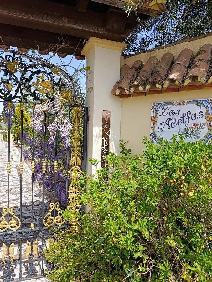 Chalet para 8 personas, con jardín y vistas además de piscina y vistas al lago en Serranía de Ronda - 3