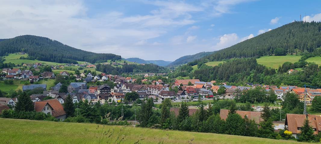 Studio für 2 Personen, mit Sauna und Balkon sowie Garten in Baiersbronn - 3