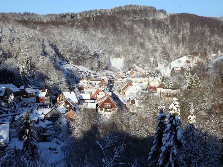 Ferienwohnung für 4 Personen, mit Garten und Ausblick, mit Haustier in Osterode - 3