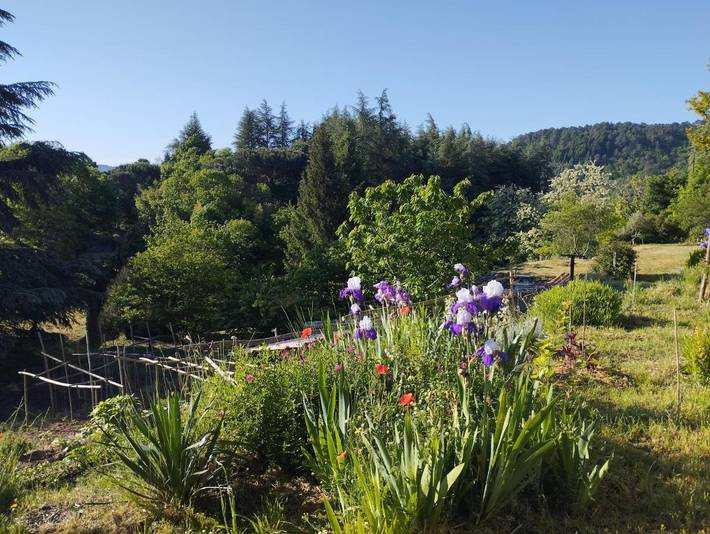 Gîte pour 2 personnes, avec vue ainsi que terrasse et jardin, animaux acceptés à Lasalle - 4