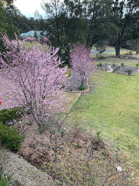 Little Hartley Hideaway in New South Wales