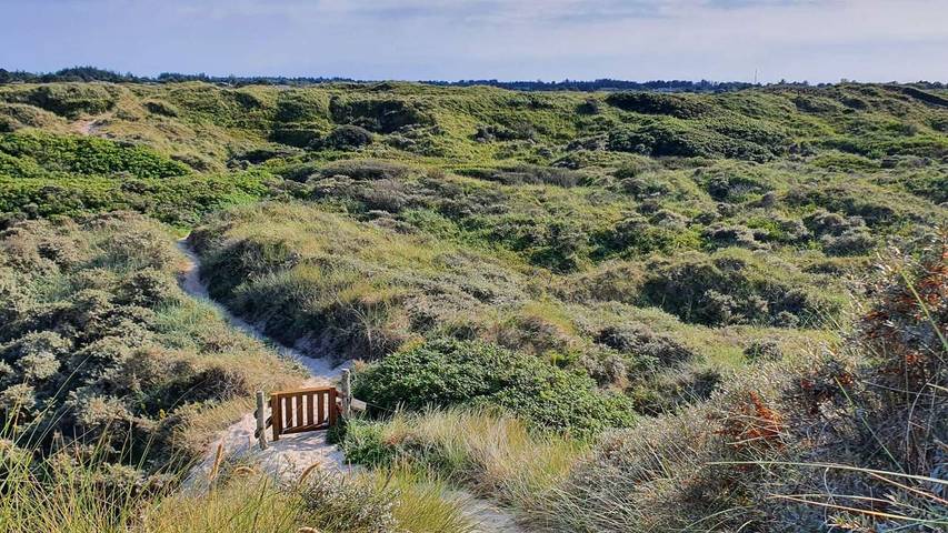 Ferienhaus für 7 Personen, mit Sauna und Terrasse sowie Whirlpool in Tversted - 4